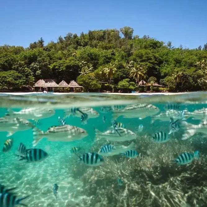 Fiji