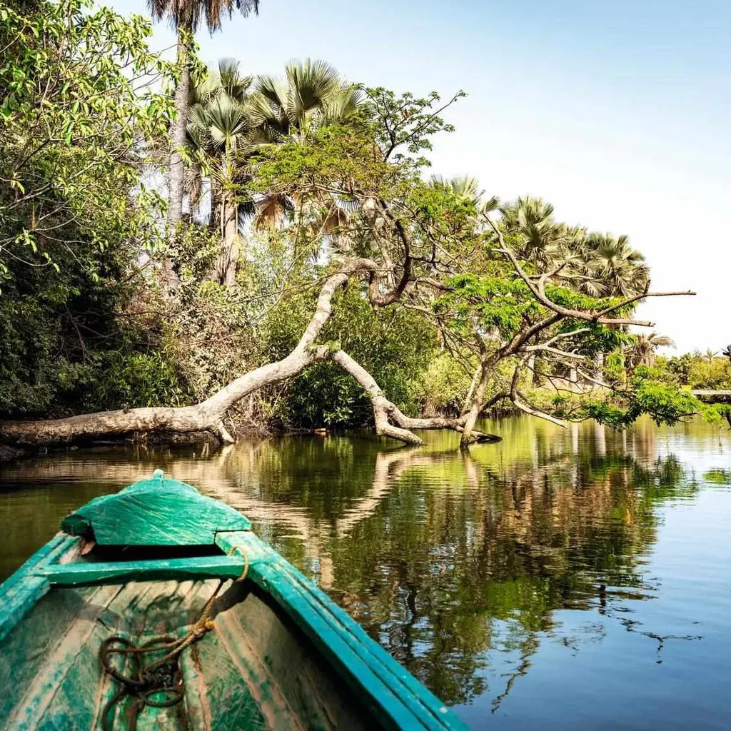 Gambia