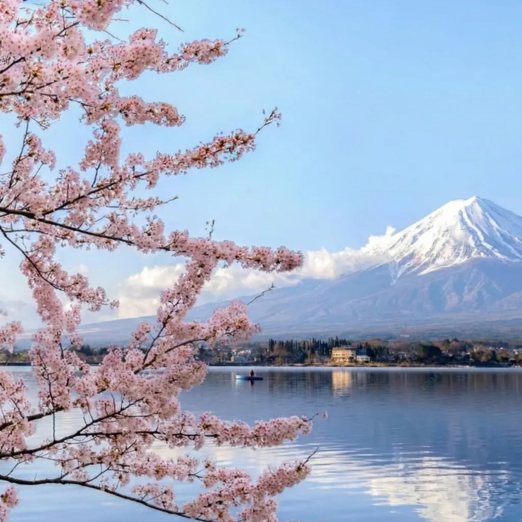 Japan Light