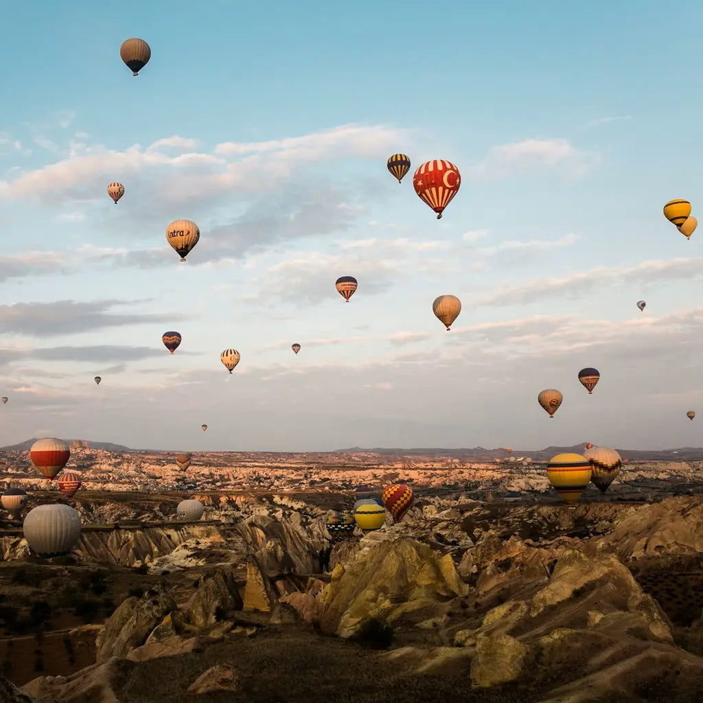 Middle East (10+ Countries)