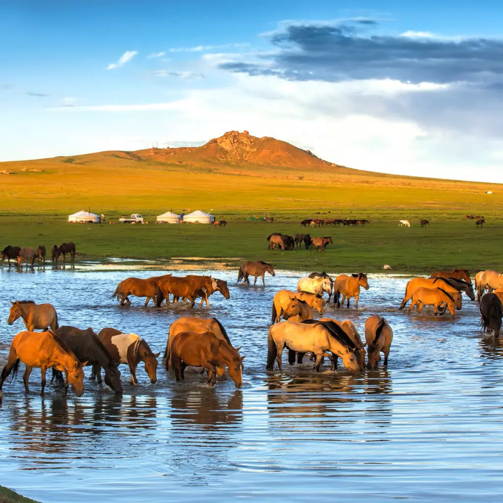 Mongolia