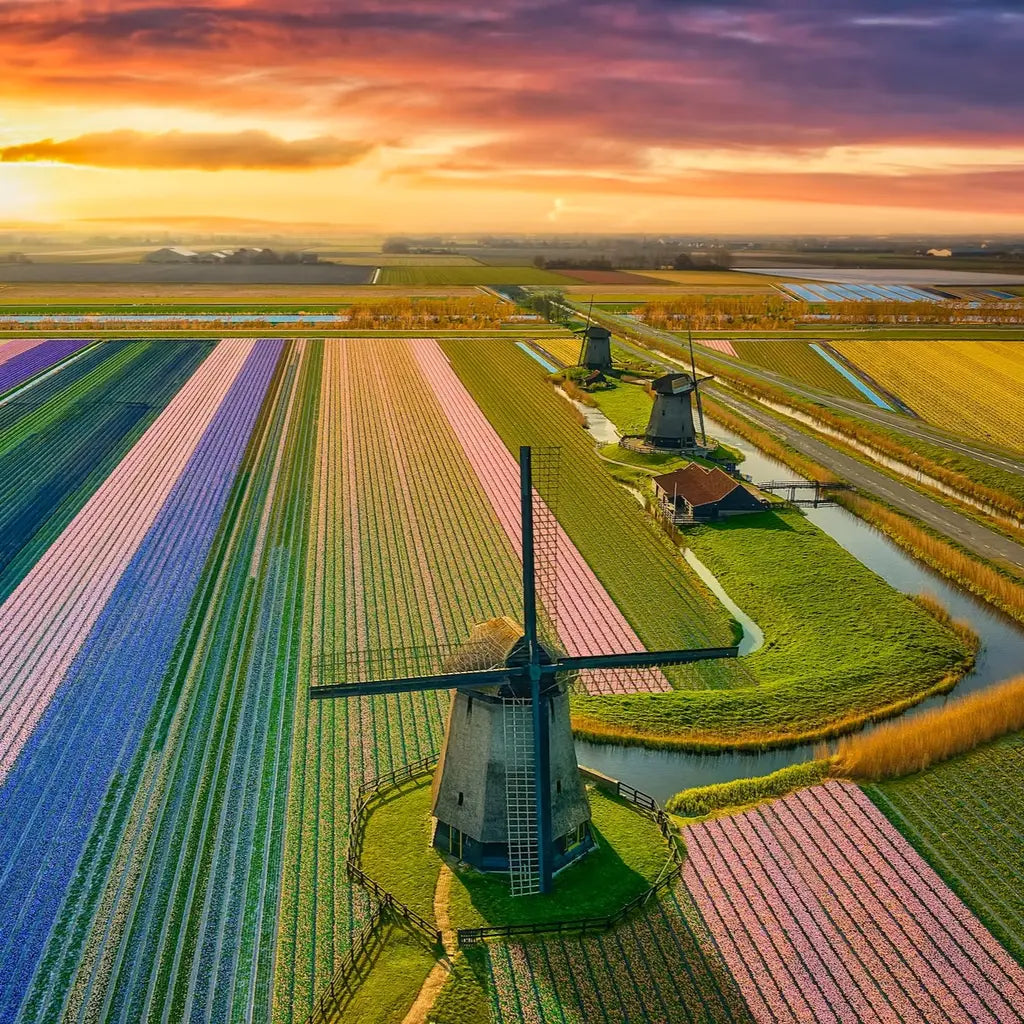 Netherlands Light