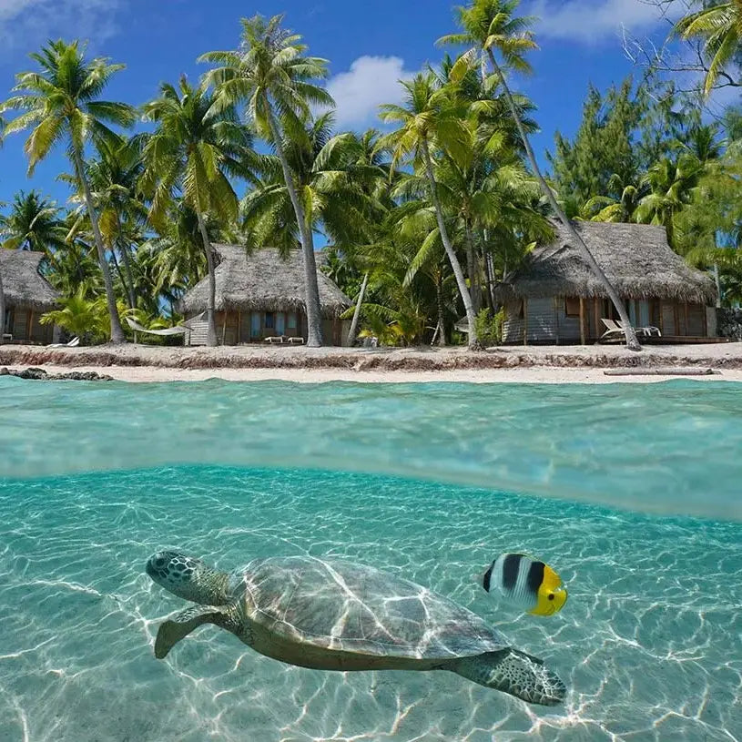 French Polynesia