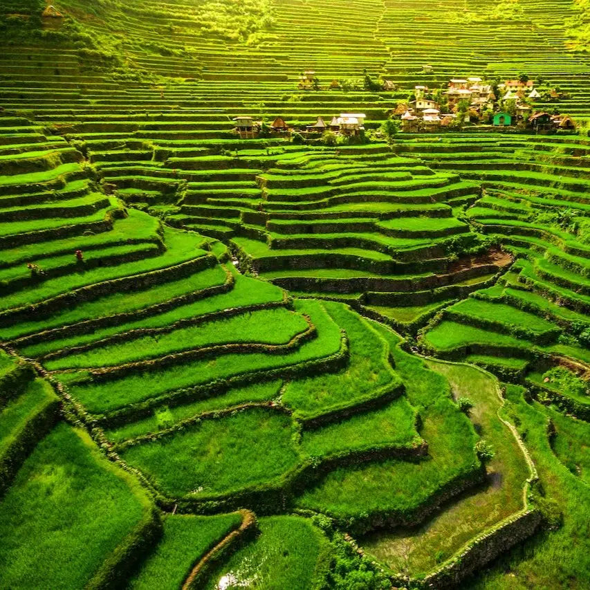 Philippines