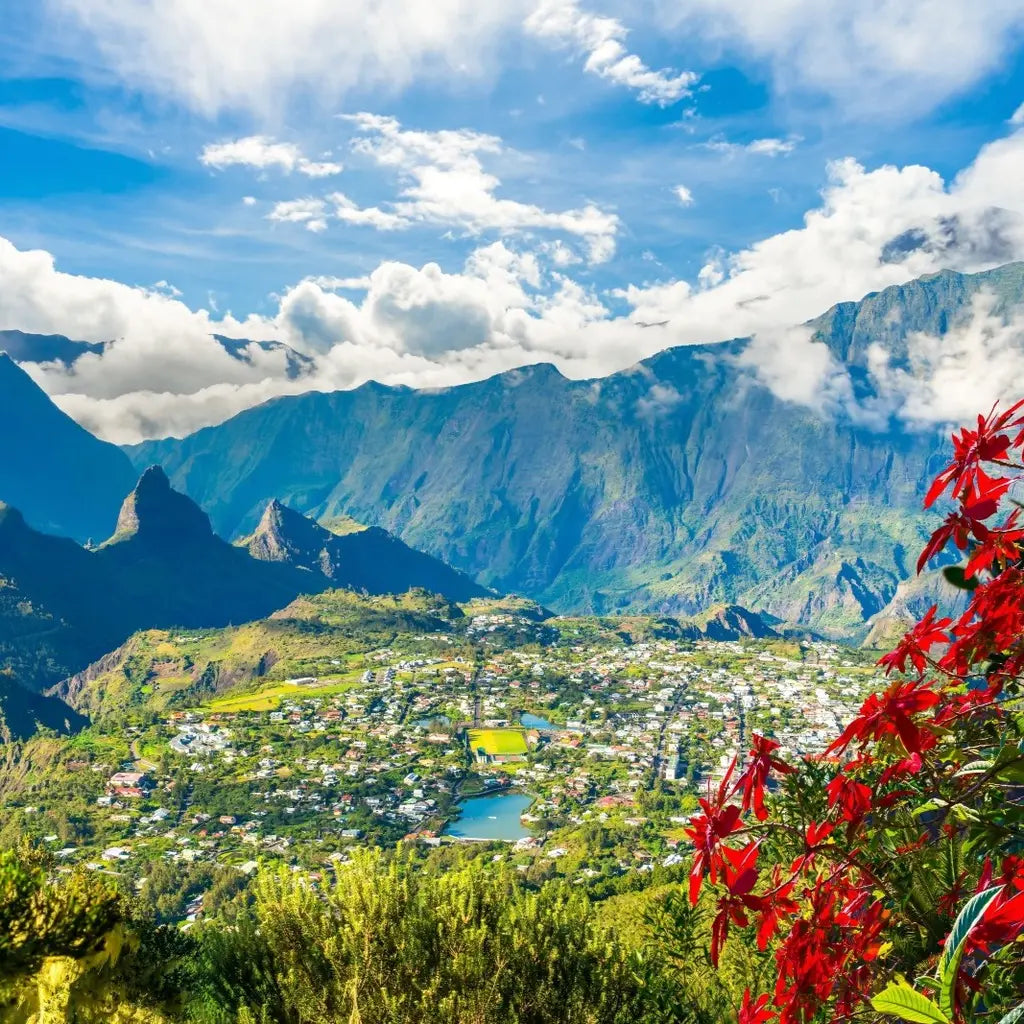 Reunion