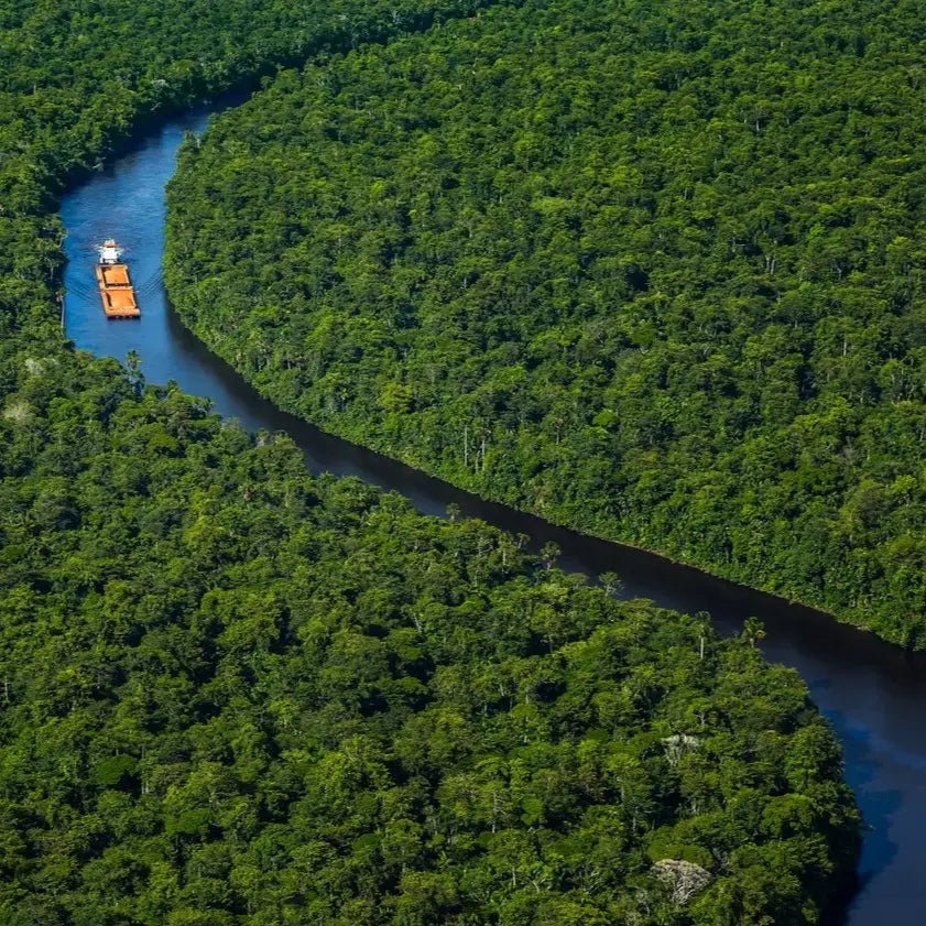 Suriname