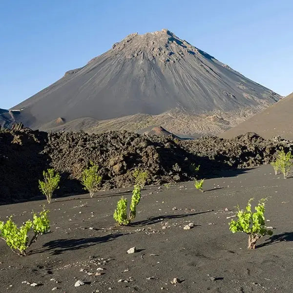El Salvador