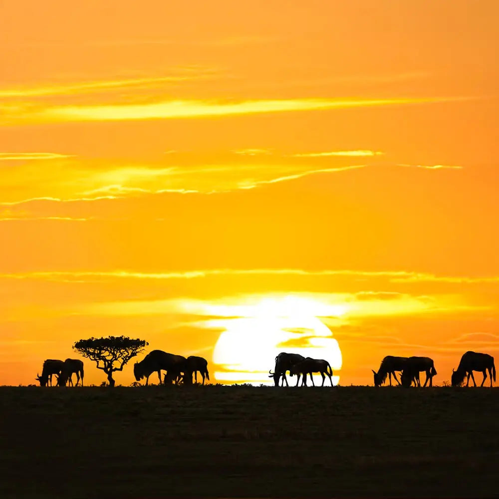 Tanzania