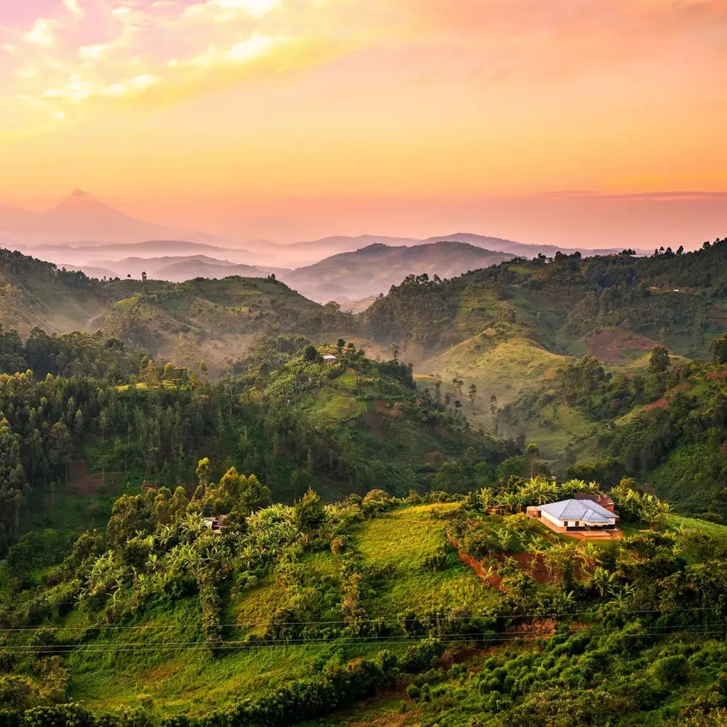 Uganda